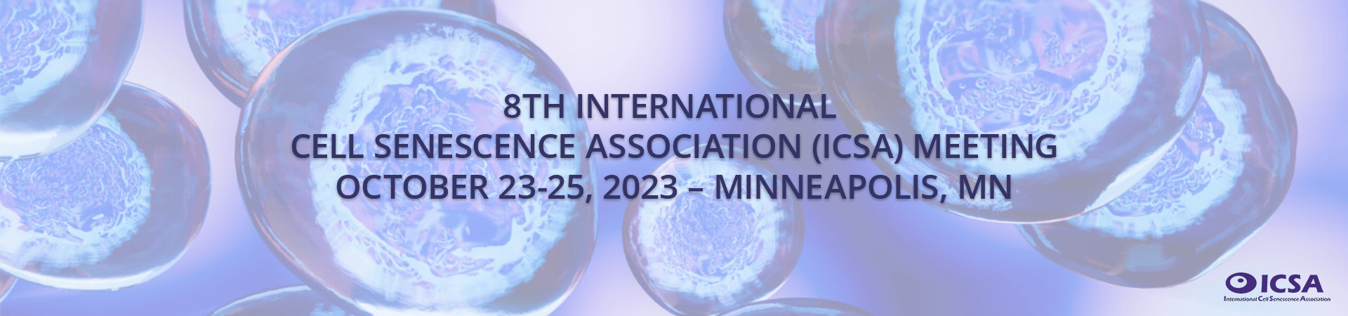 ICSA 2023 Logo